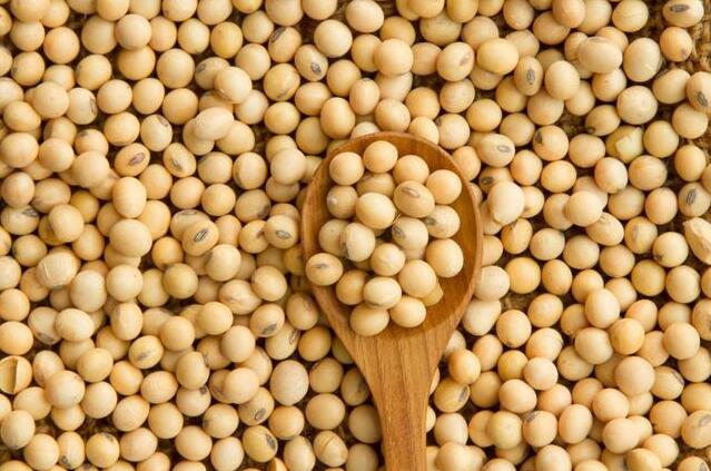 QQ截图20240420183353.jpg QQ截图20240420183353.jpg